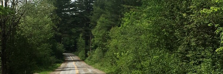 forever_cate23's profile banner image