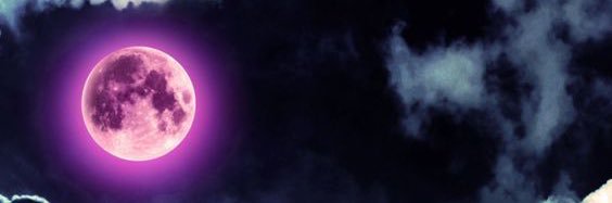 🔮's banner