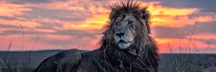 kraginaa's profile banner image