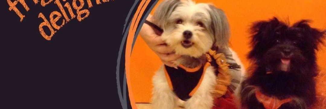 AmandachillenXO's profile banner image