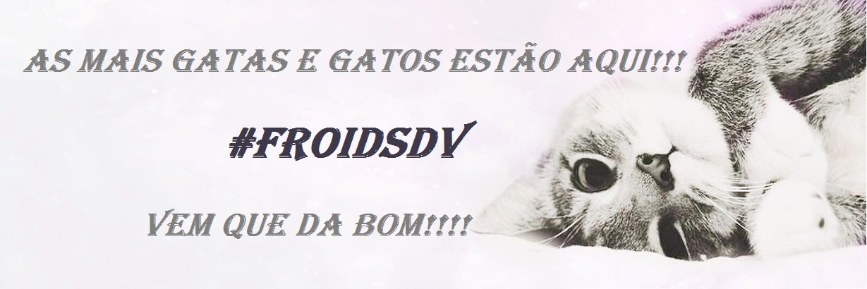 Froidetes's profile banner image