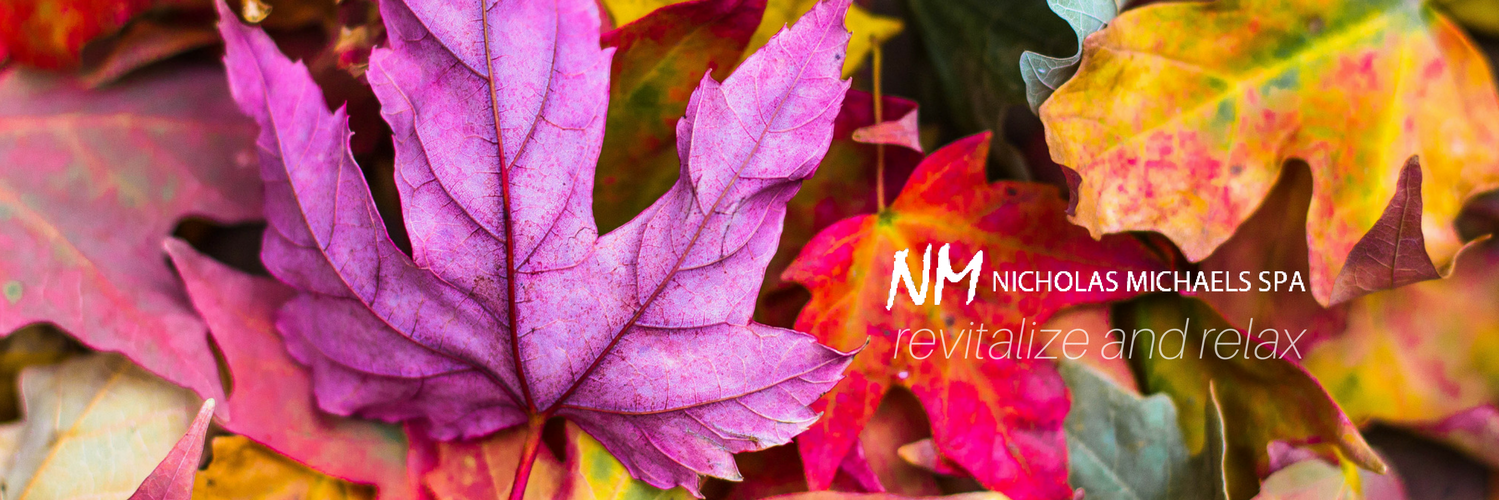 nmichaels_spa's profile banner image