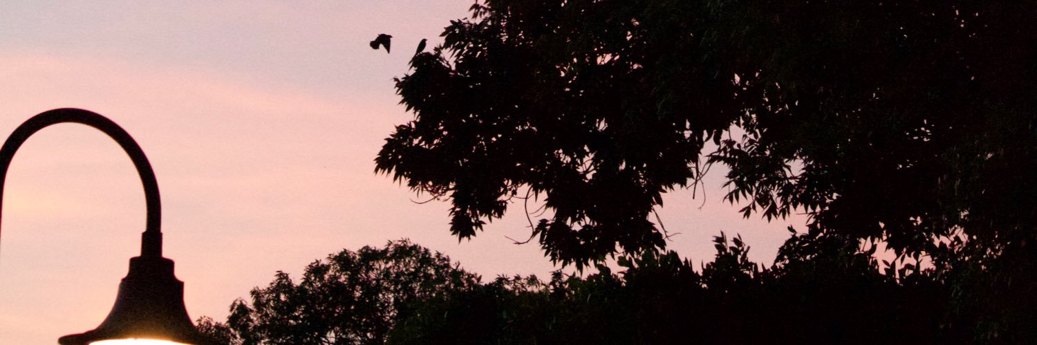 mafer_mm1's profile banner image