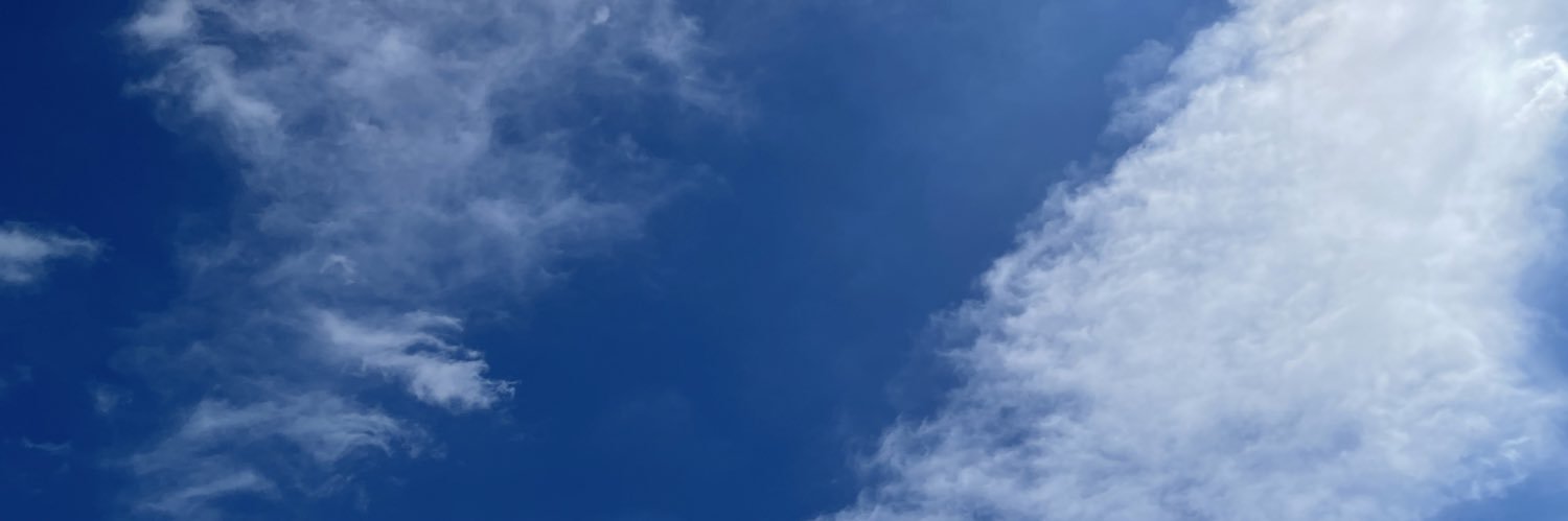 Levyns's profile banner image