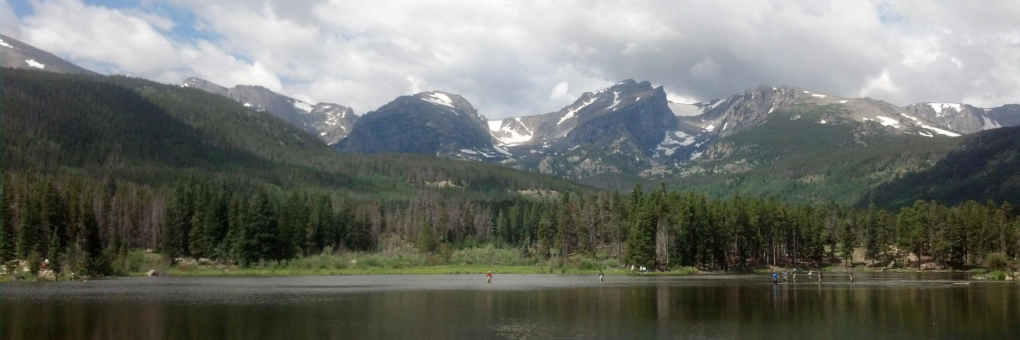 FermentedlyChallengd banner