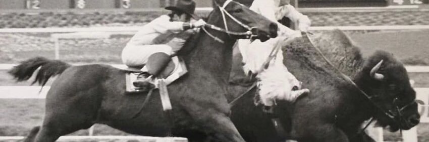 Courte Gilbert banner