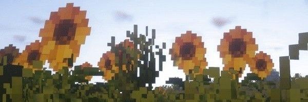 ☕︎ Mᴀʀɪ́ᴀ - Cʀᴏssᴏᴠᴇʀ ☕︎'s banner