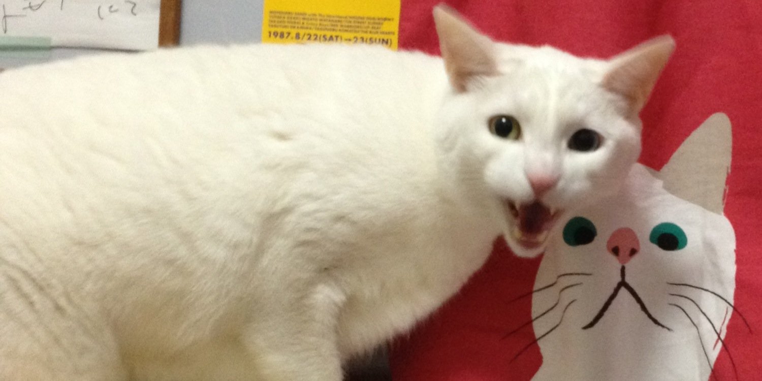 あしたのアチョー banner