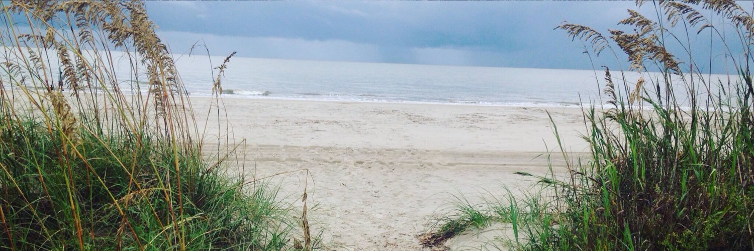 emilyherold's profile banner image