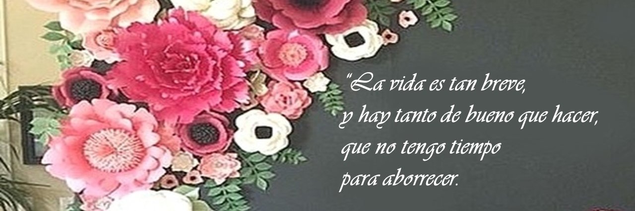 zdeatalido's profile banner image