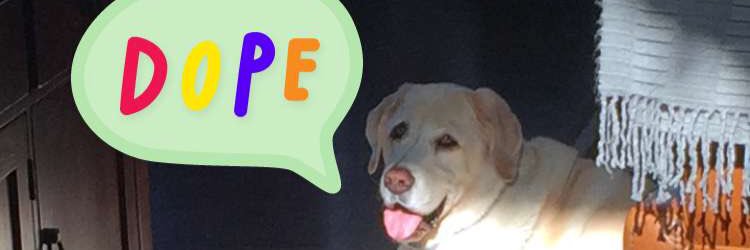 MadisonPiper24's profile banner image