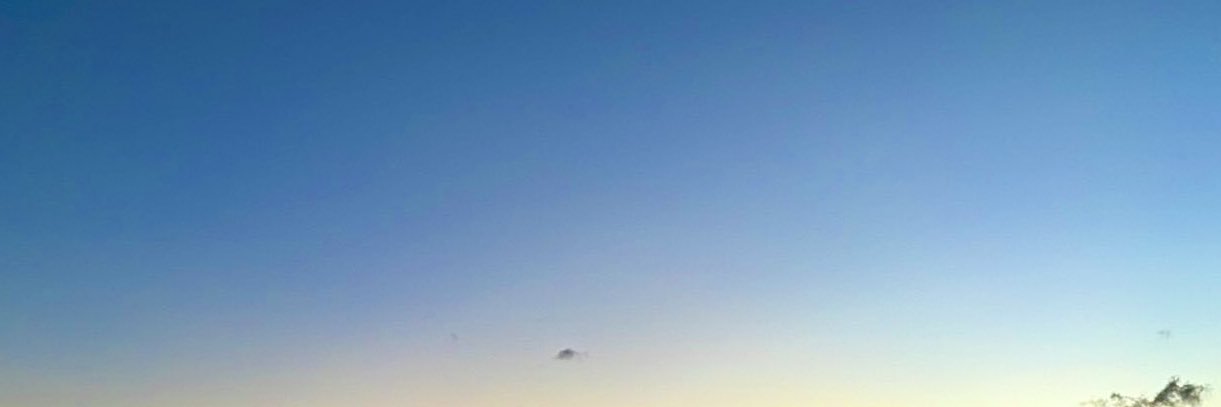 mte0701's profile banner image