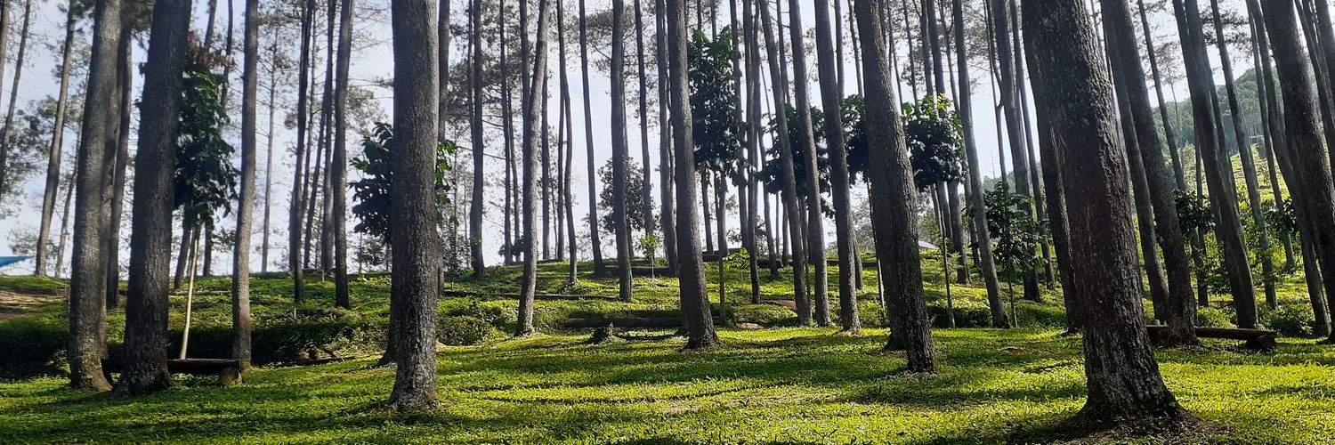 Indra Indihira banner