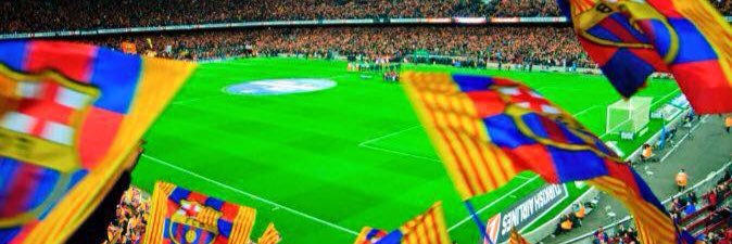 Anny banner