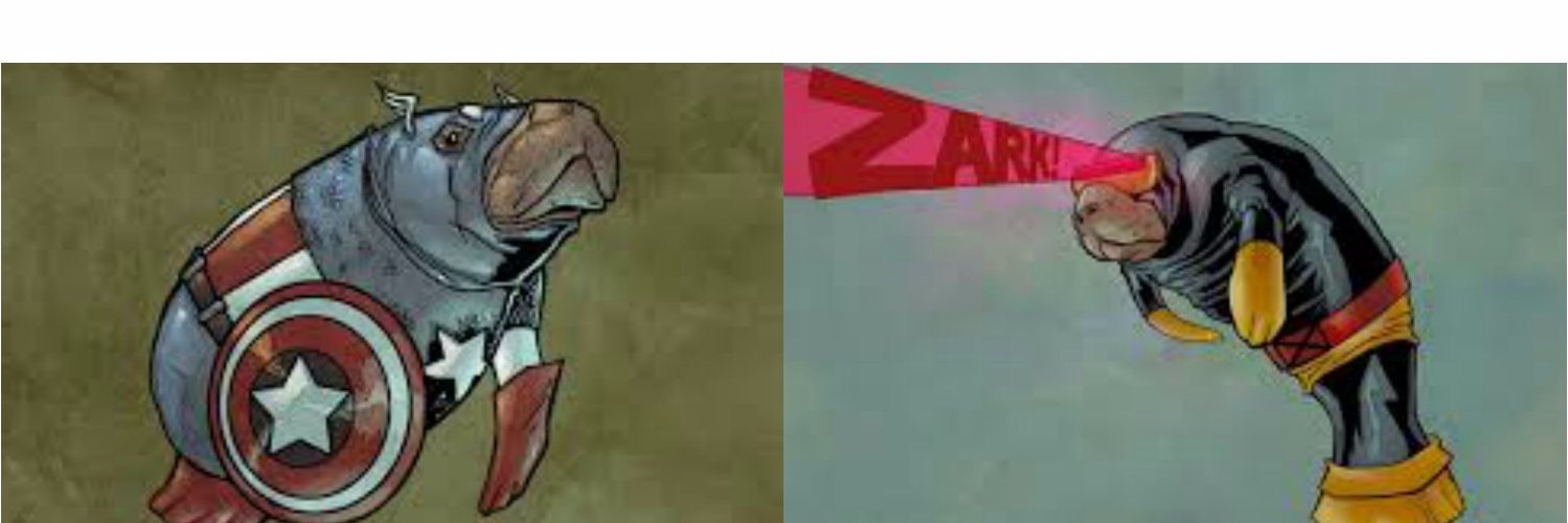 NickCip99's profile banner image