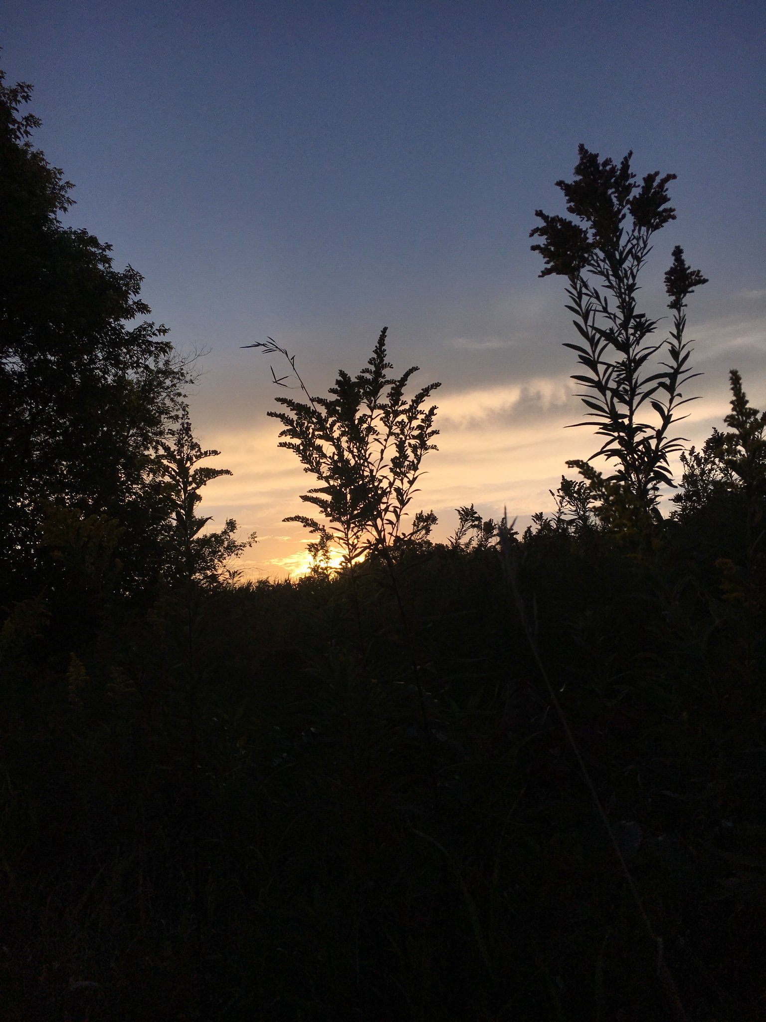 aslowiak25's profile banner image