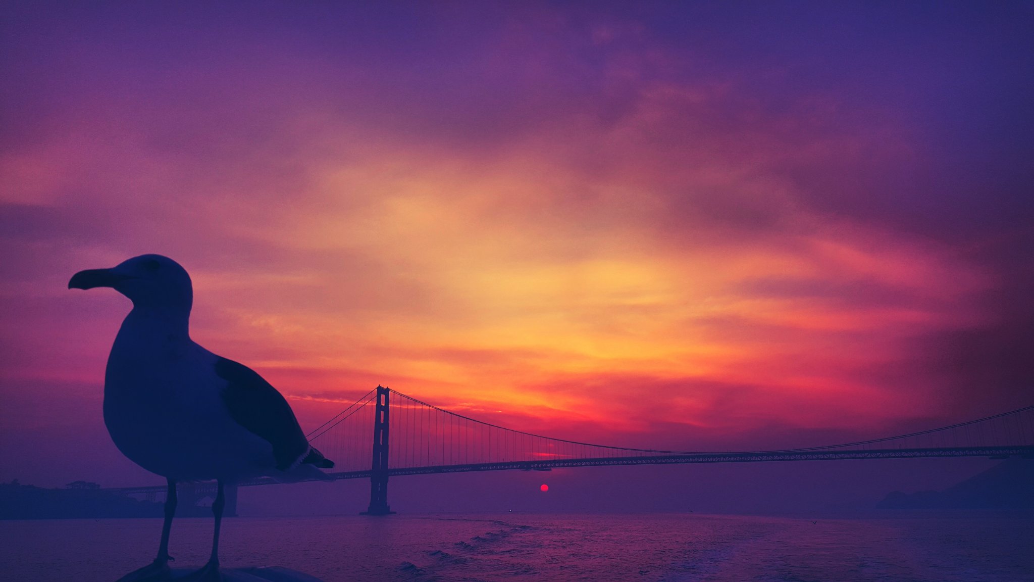 eshasingh8989's profile banner image
