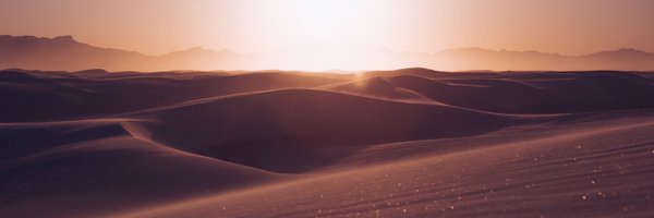 Willits Profile Banner