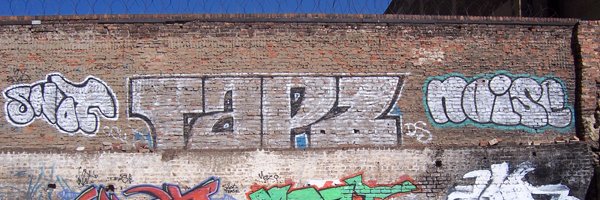 thapzinator1's profile banner image