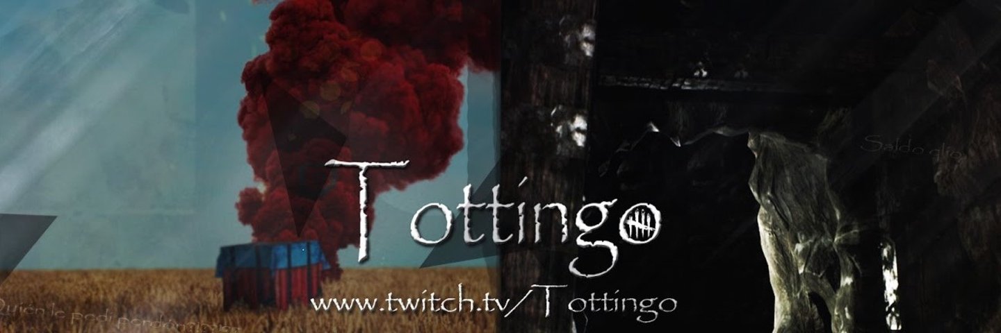 Tottingoh's profile banner image