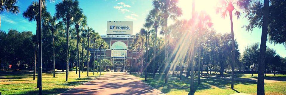 Gabriella Razzetti Zumbiel banner