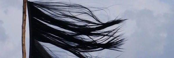 winshukla Profile Banner