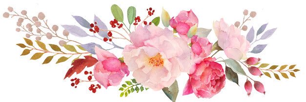 Firsa Olivia Susan banner