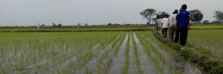 BudiAkh84's profile banner image