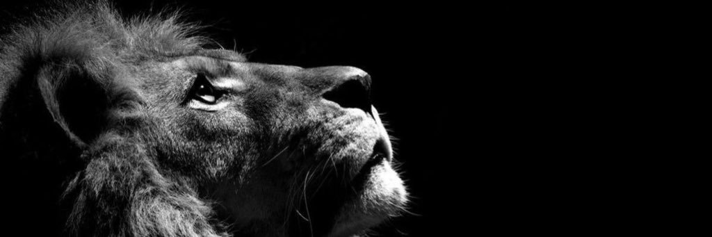 Steele Walker™ banner