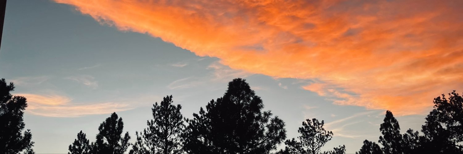 aubbirue's profile banner image