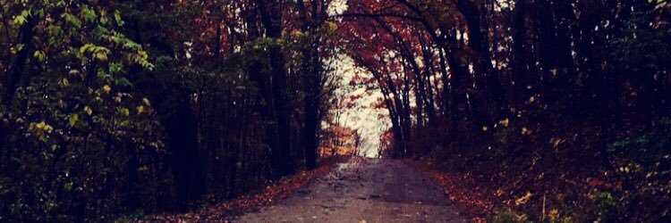 jo_katlyn's profile banner image