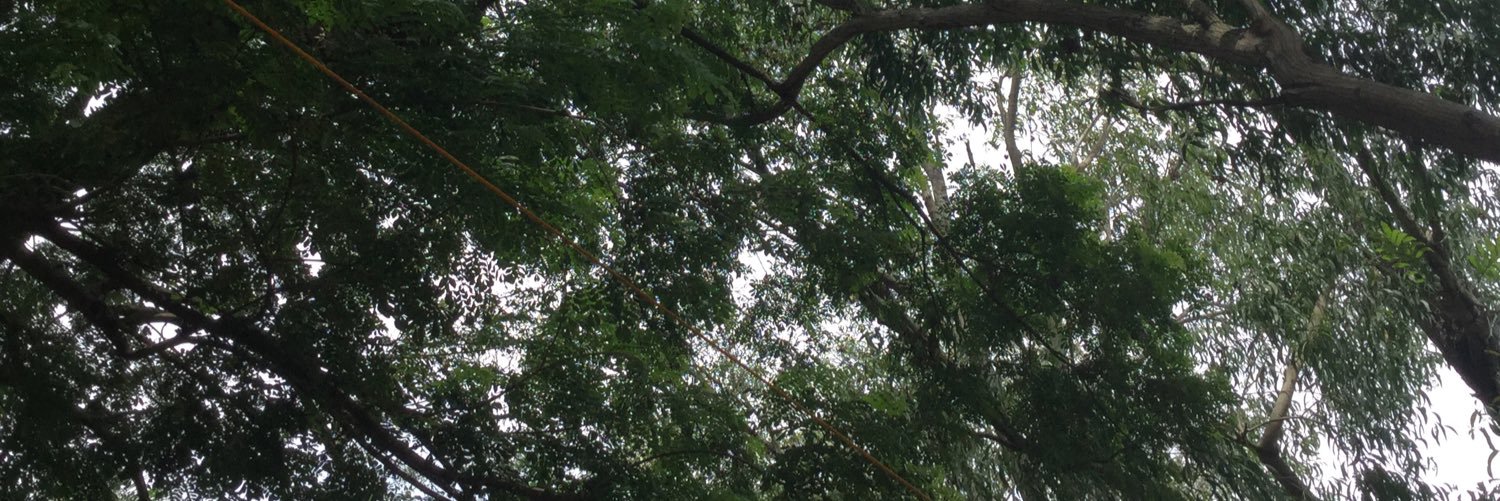 arveeeee's profile banner image