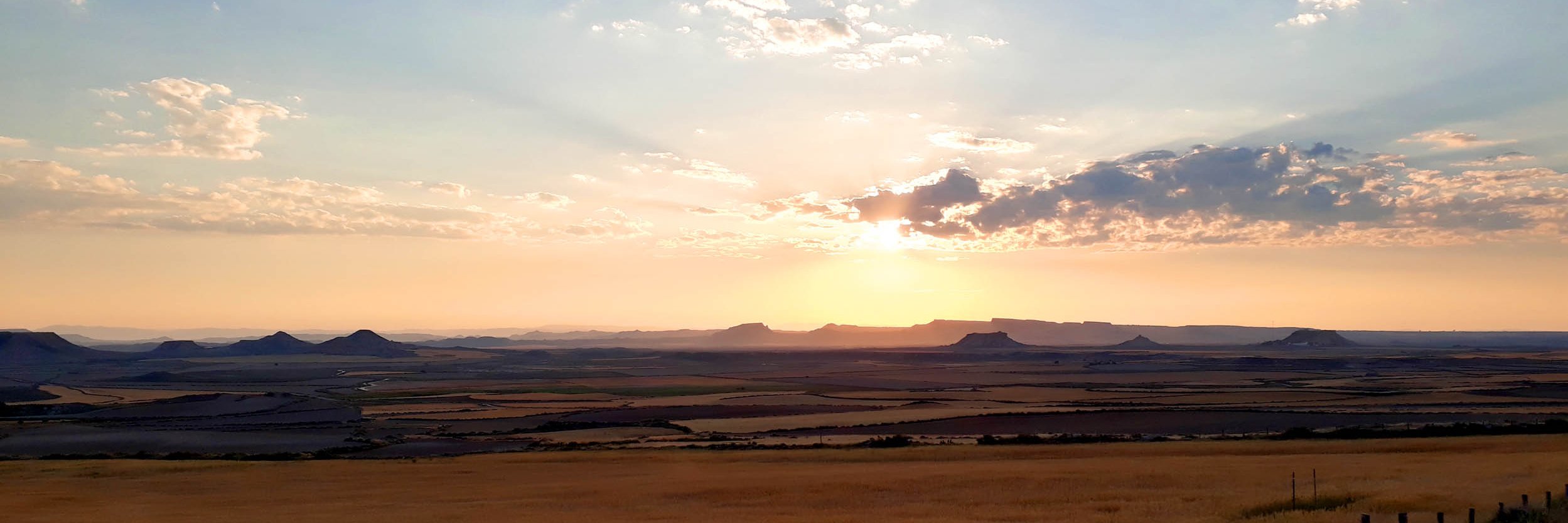 David Galicia banner