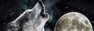 RFoneverything's profile banner image