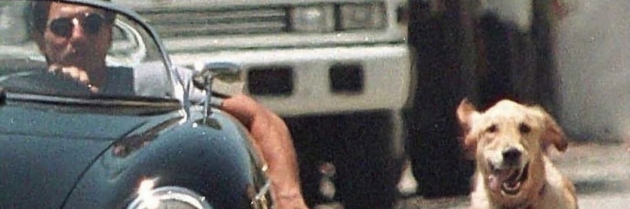 Albano 🇦🇱 banner