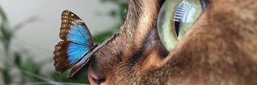 johnchua2001's profile banner image