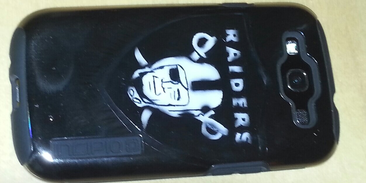 Raidering in Texas banner