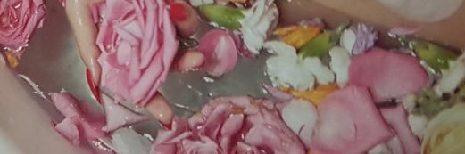🌹 banner