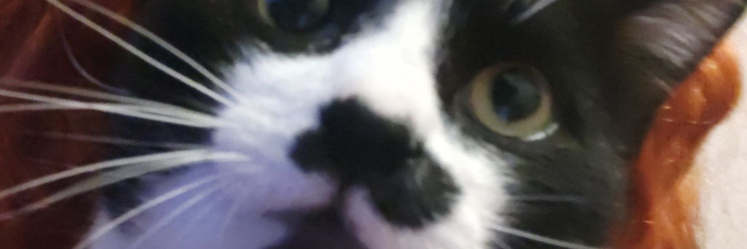 ymnzt's profile banner image