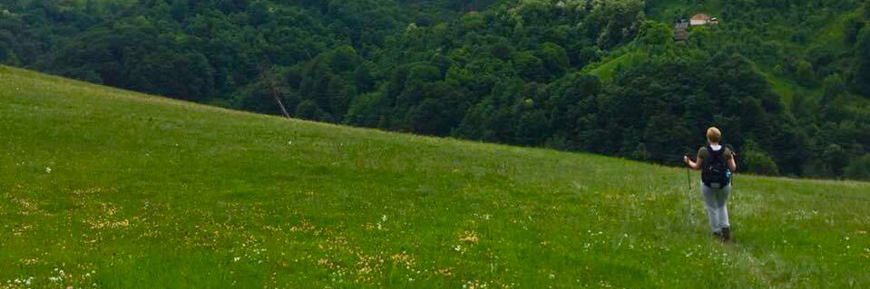 Suzana Đorđević  banner