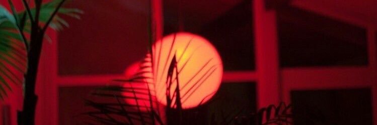 dellycioussss's profile banner image