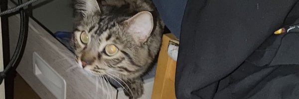 J_Balmi Profile Banner