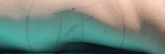 johnpakapoukas's profile banner image