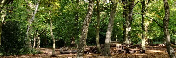 folkysar Profile Banner