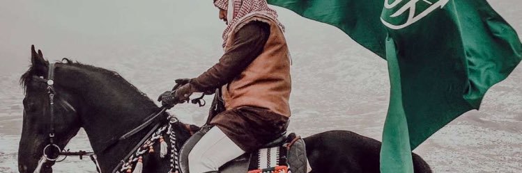 سليمان العلي banner