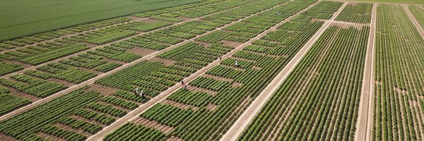 jd_moal Profile Banner