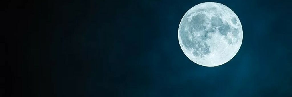 Henrique de Jesus banner