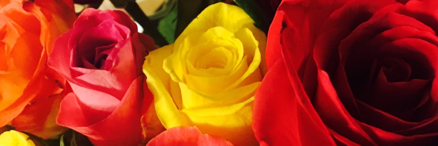 vernyvoo's profile banner image