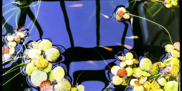chinappar's profile banner image