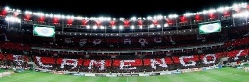 luana banner